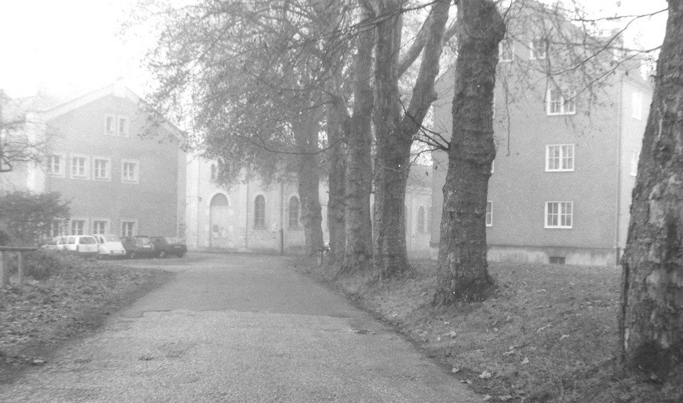 Straße "Plantanenallee" zum ehemaligen Studentendorf "Ghetto" (1987); Quelle: Foto Warmuth