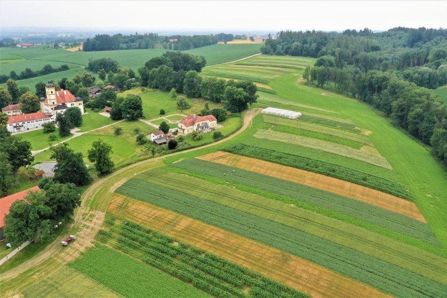 Felder aus der Vogelperspektive