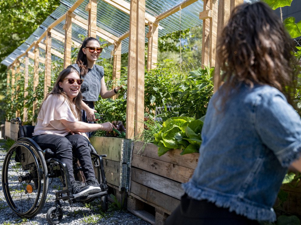Inclusion on Campus