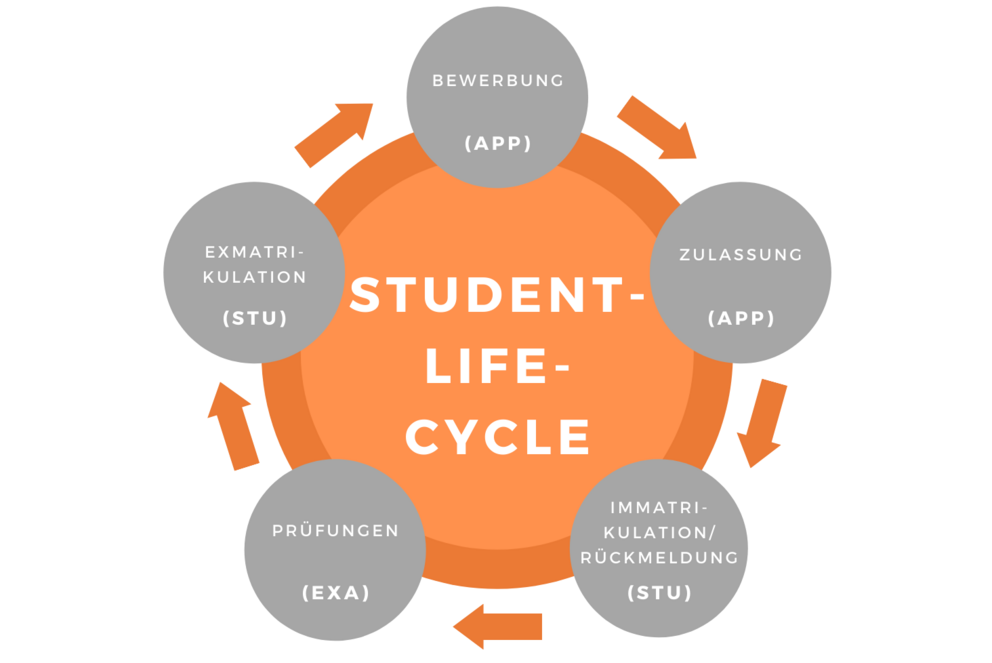 Bild: Student-Life-Cycle
