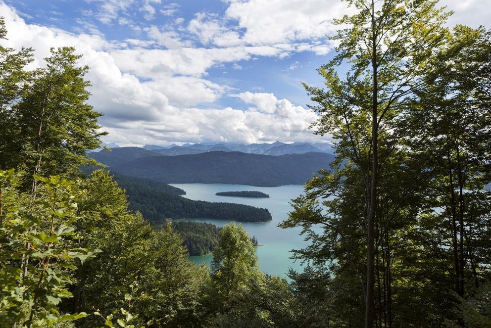 Landschaft mit Wald, Bergen, See