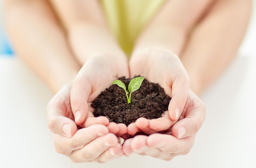 Two hands holding soil and a young plant is held by two other hands