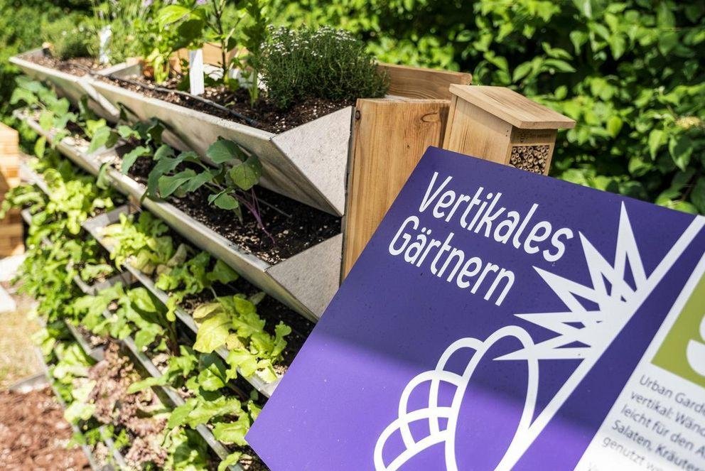 [Translate to Englisch:] Urban Gardening Demogarten 