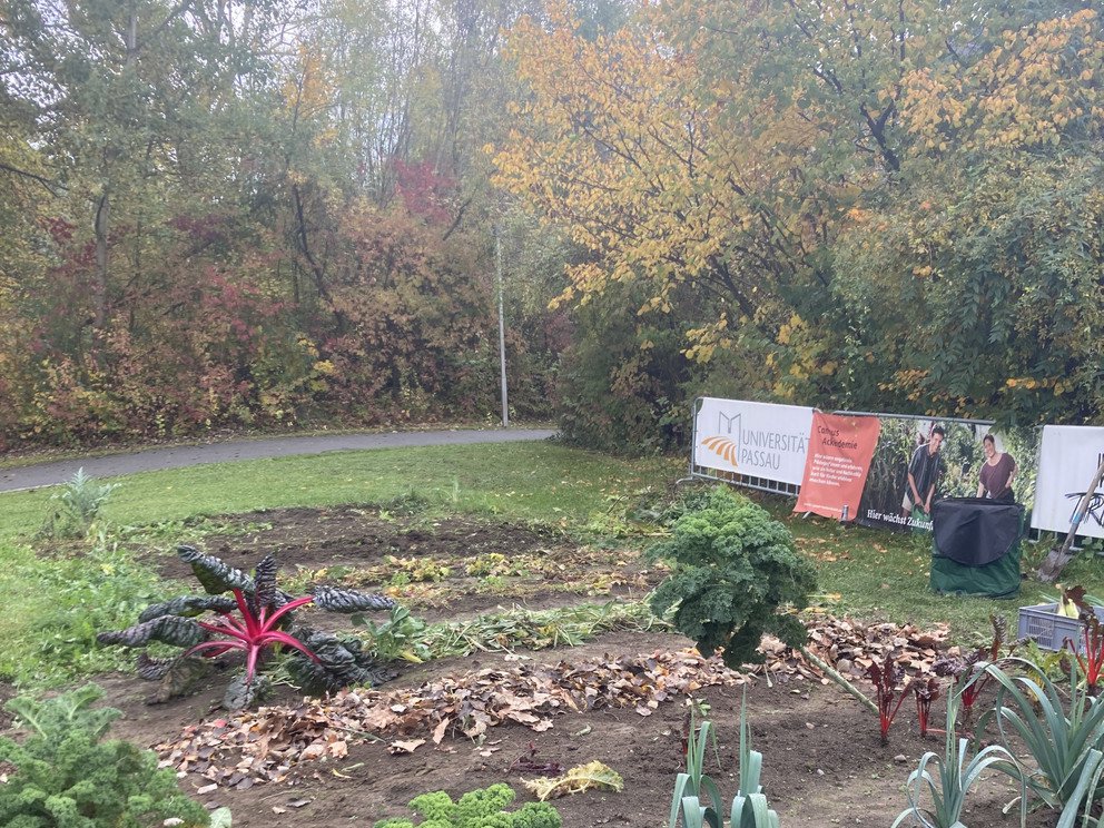 CampusAcker im Sp&auml;therbst