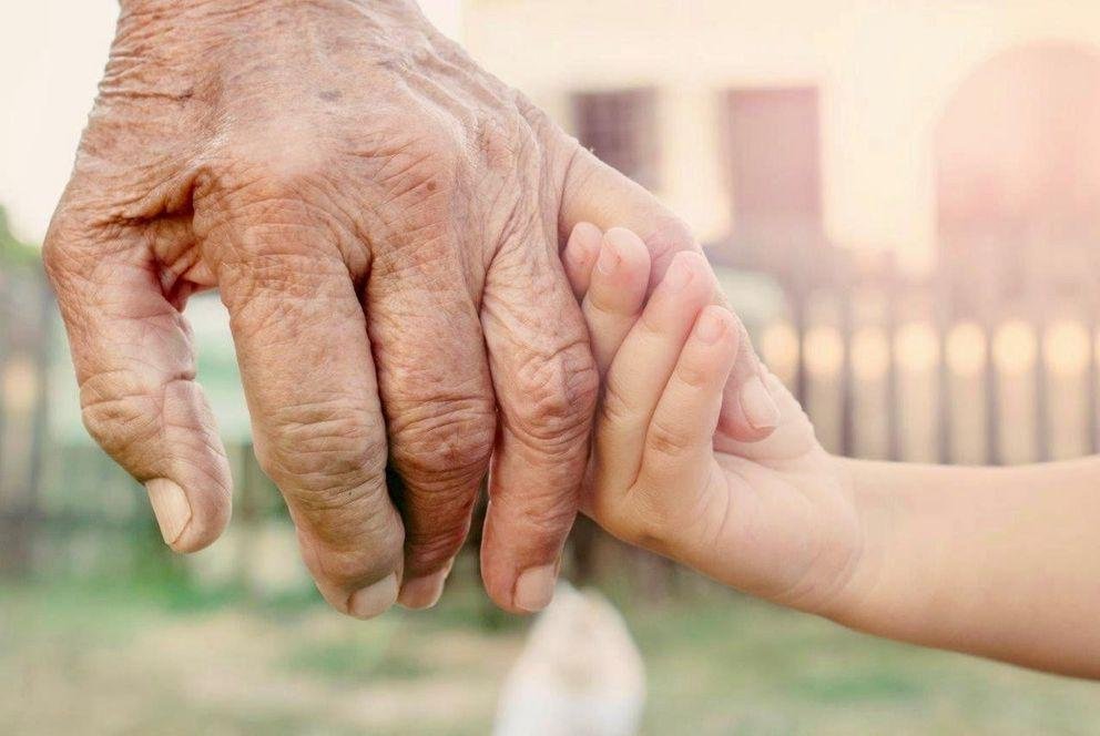 Hands old and young Hands old and young
