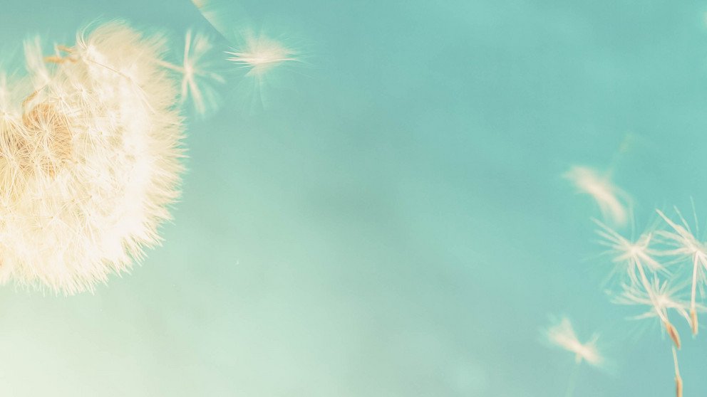 Dekoratives Bannerbild