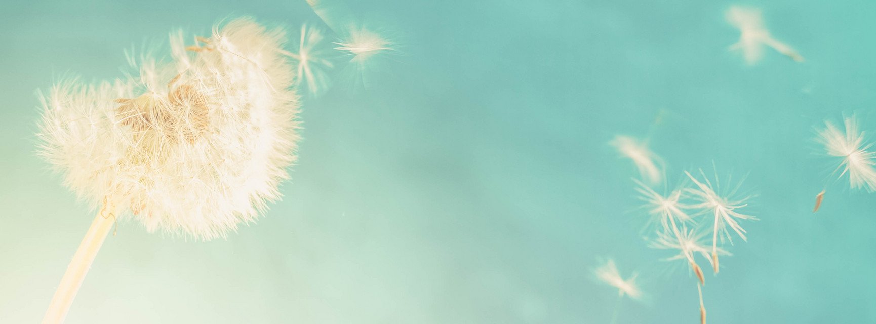 Dekoratives Bannerbild