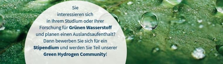 DAAD Programm 