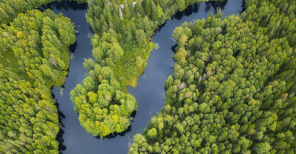 Aerial view river in a forest