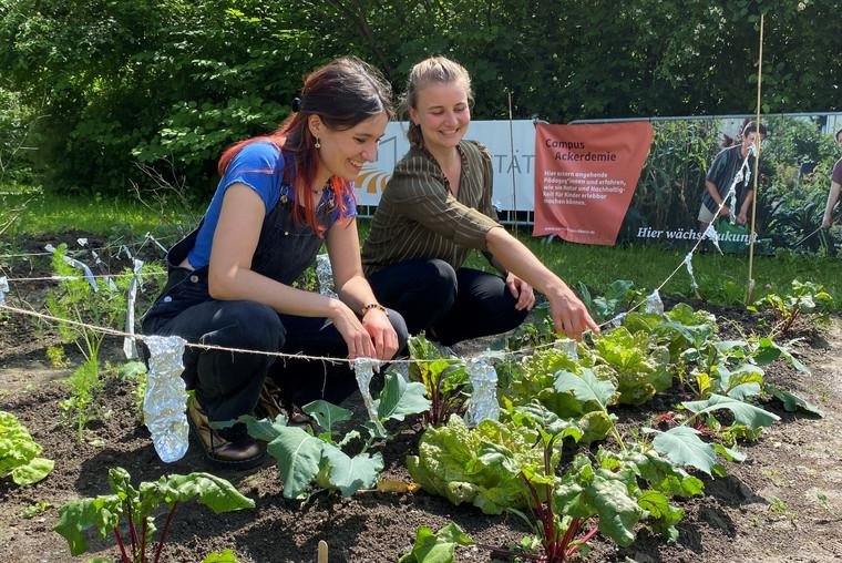 Studierende pflegen die Beete auf dem Campus