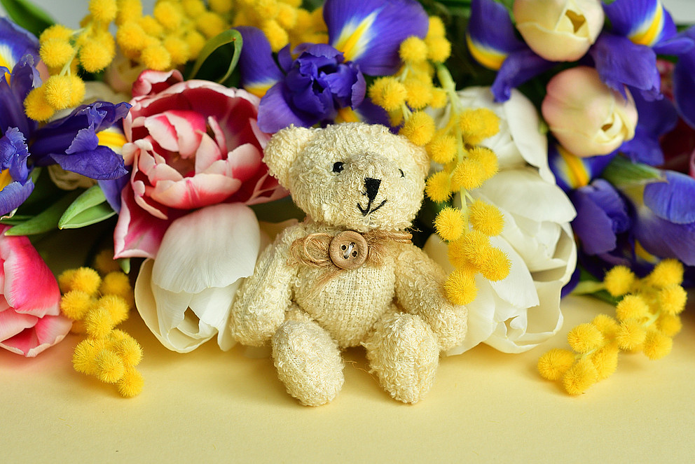 Teddybär zwischen bunten Frühlingsblumen