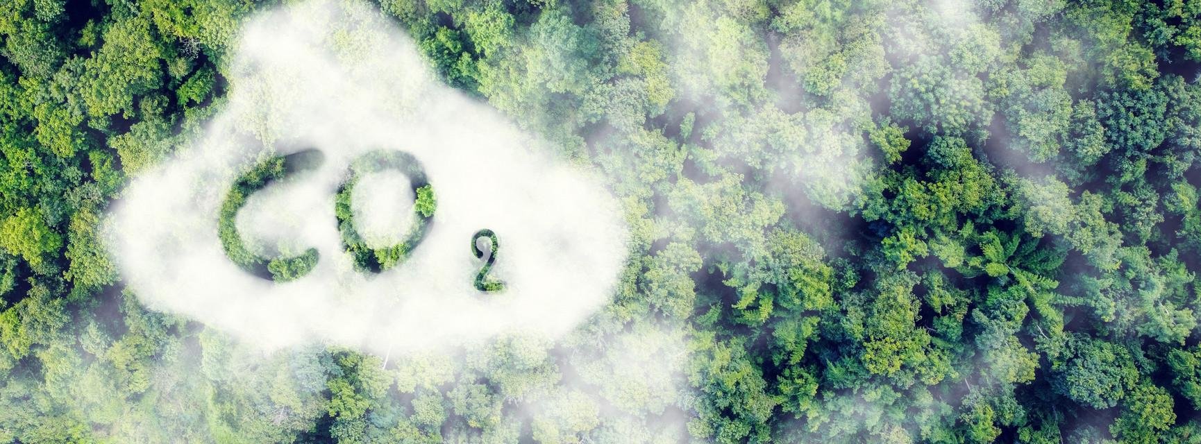 Decorative banner image