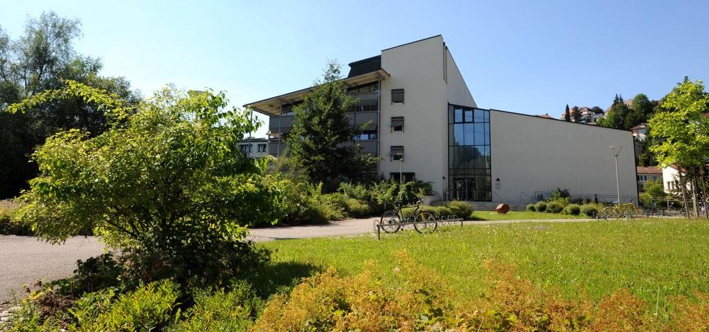 Faculty of Law