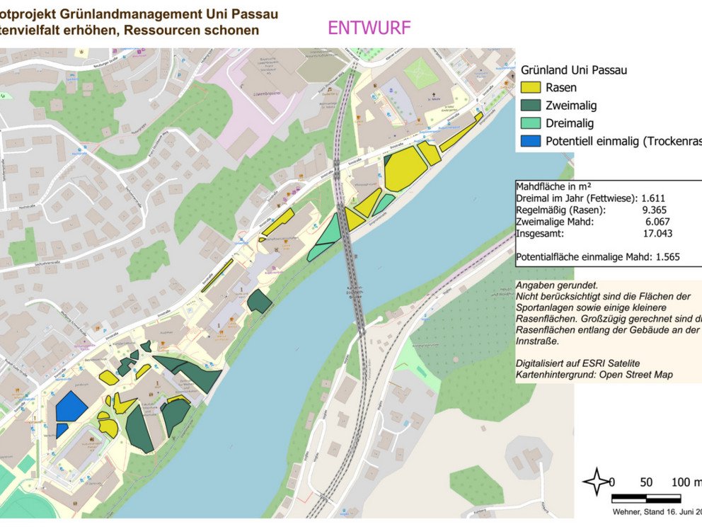 Entwurf Lageplan Bl&uuml;hwiesen