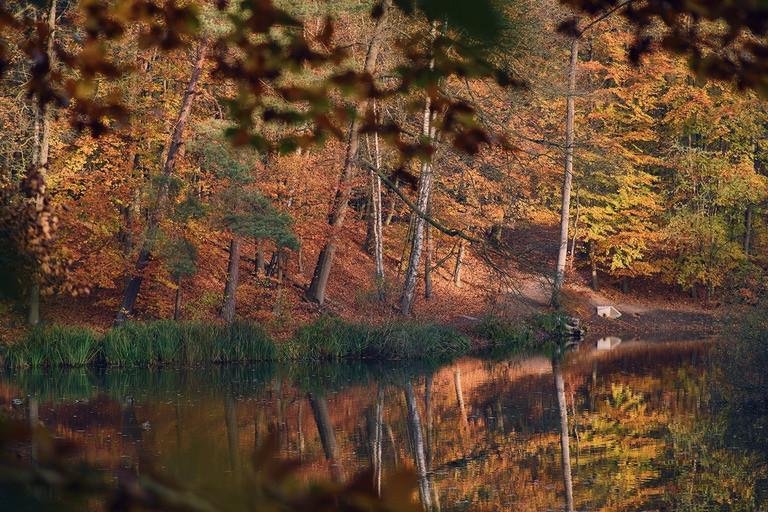 DFG-Projekt AquaDiva Die Verbindungen zwischen ober- und unterirdischer Biogeosphre verstehen