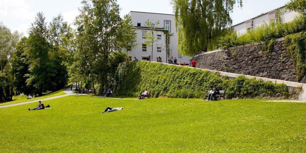 Green spaces on campus