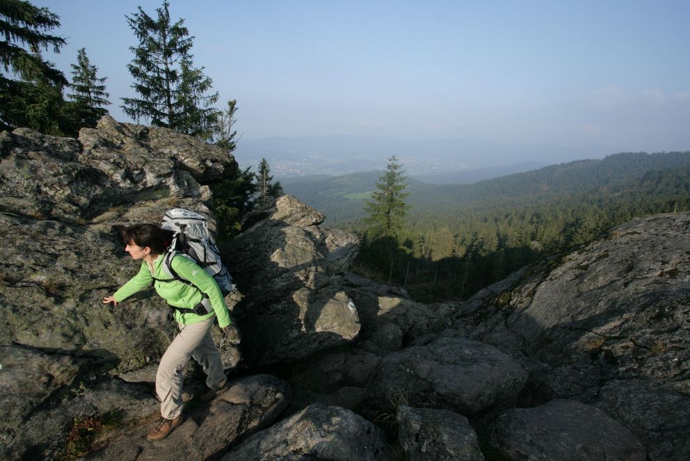 A woman, hiking in the Bavarian Forest mountains