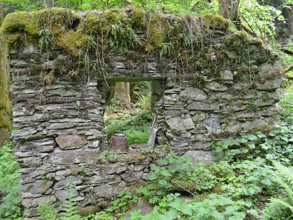 Fotos aus der deutsch-tschechischen Exkursion am 2. Juni 2022