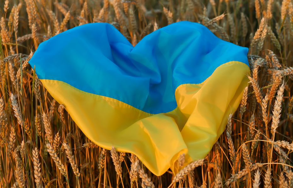 [Translate to Englisch:] Ukraineflagge