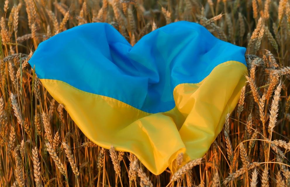 Ukraineflagge