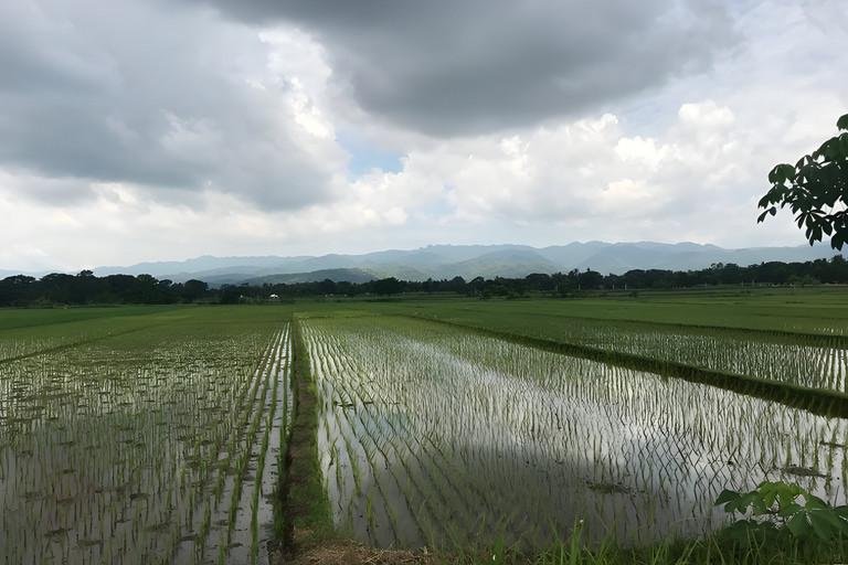 DBU-Pilotstudie in Indonesien Nachhaltige Landwirtschaft kombiniert mit digitalen Bodentests
