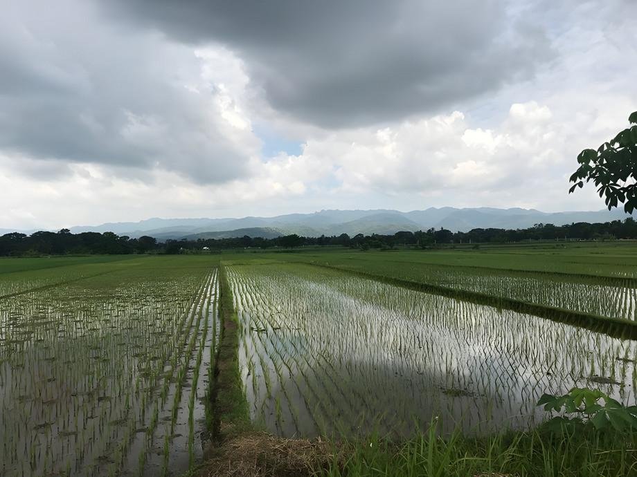 DBU pilot study in Indonesia: sustainable agriculture combined with digital soil tests