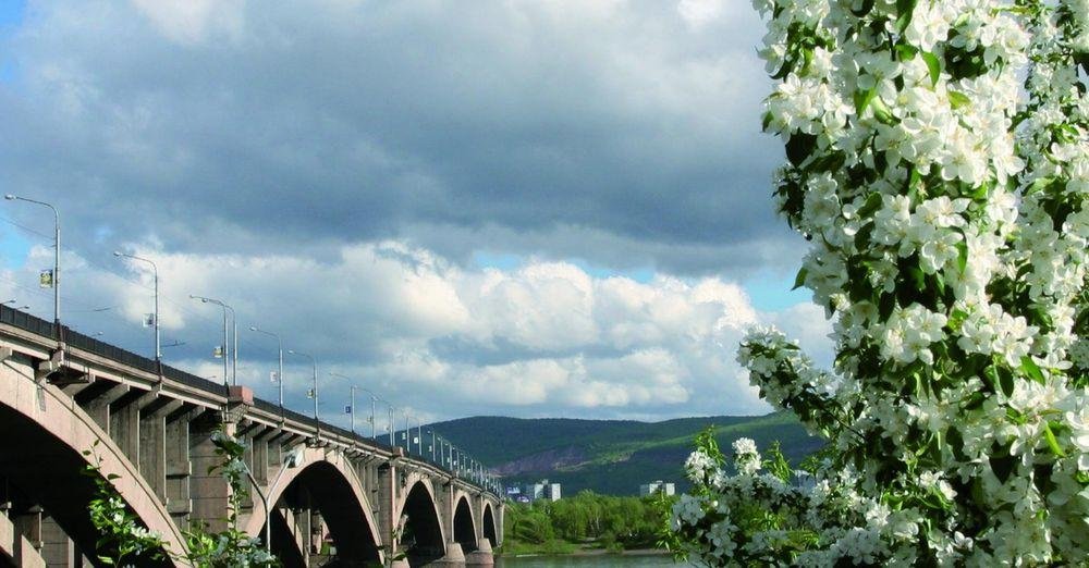 Brücke