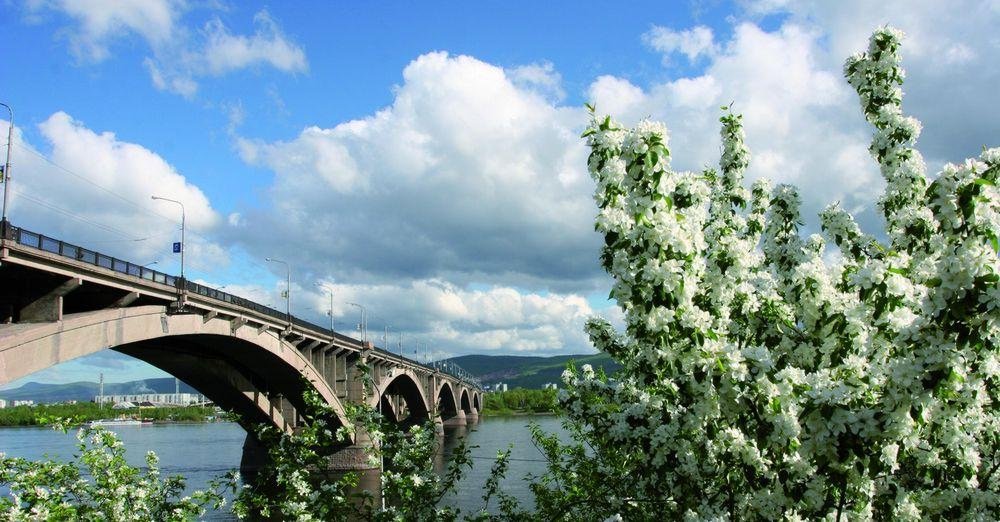 Brücke