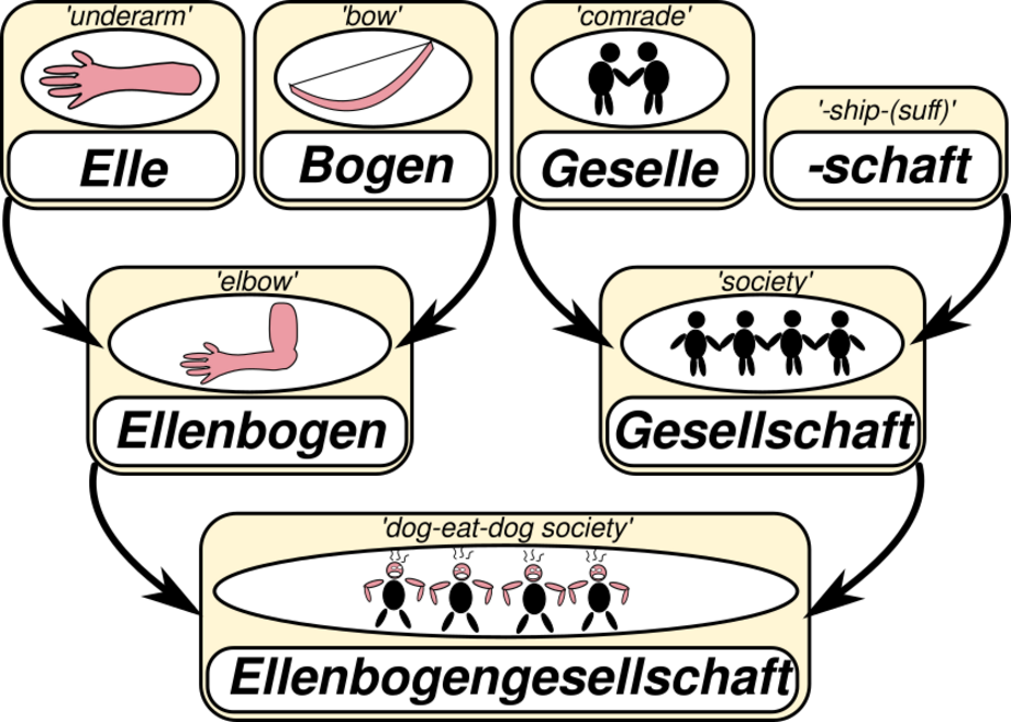 ERC Produsemy: Ellenbogengesellschaft ERC-Forschungsgruppe „ProduSemy“: Mit Algorithmen der Evolution von Wortfamilien auf der Spur