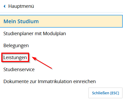 Men&uuml;punkt Leistungen