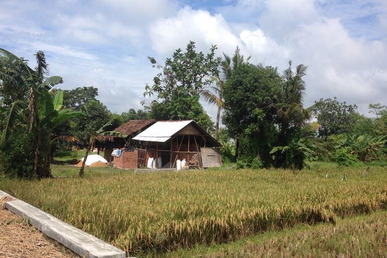 DFG-Projekt Organic Farming Erfolgsfaktoren von Biolandbau in Indonesien