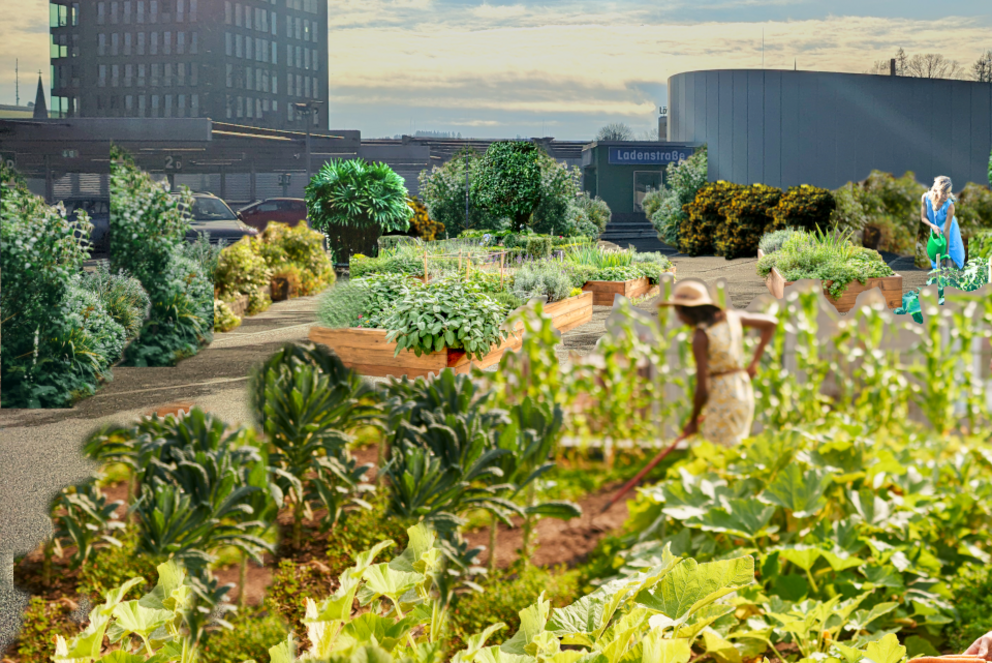Urban Gardening - Ideen für die Stadtentwicklung