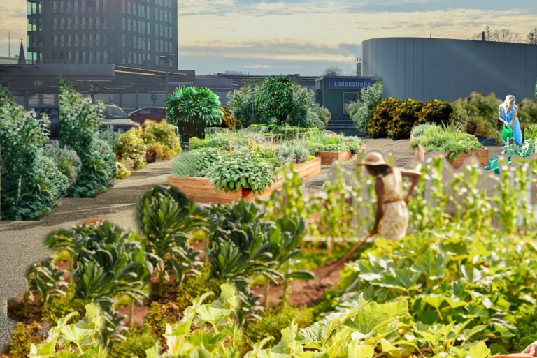 Urban Gardening - Ideen für die Stadtentwicklung