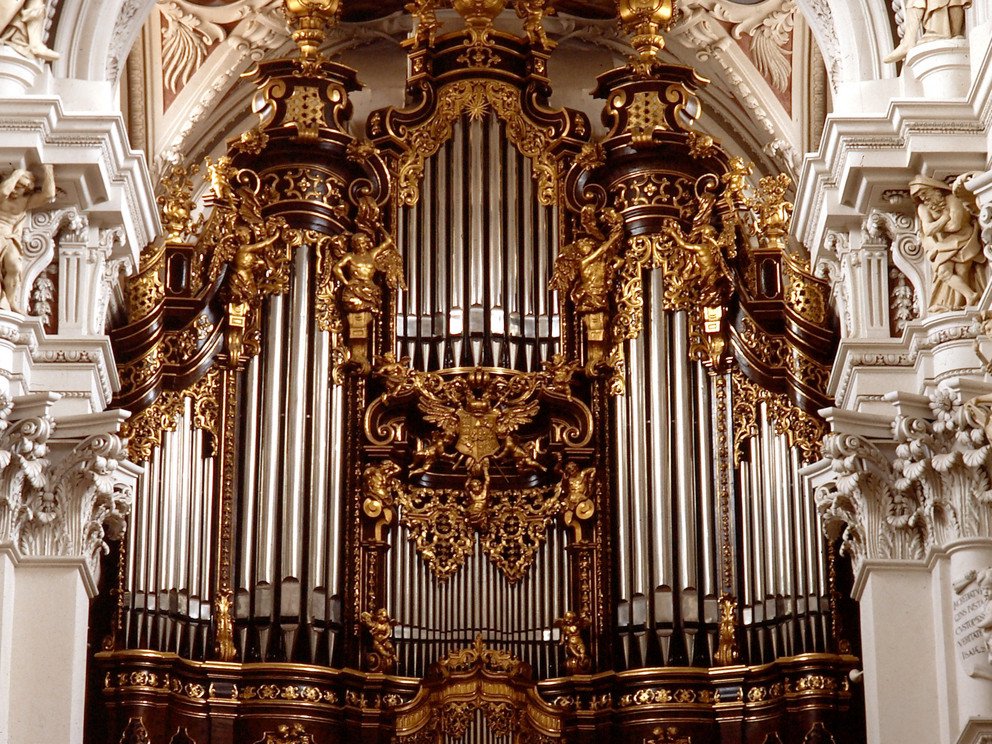 Domorgel