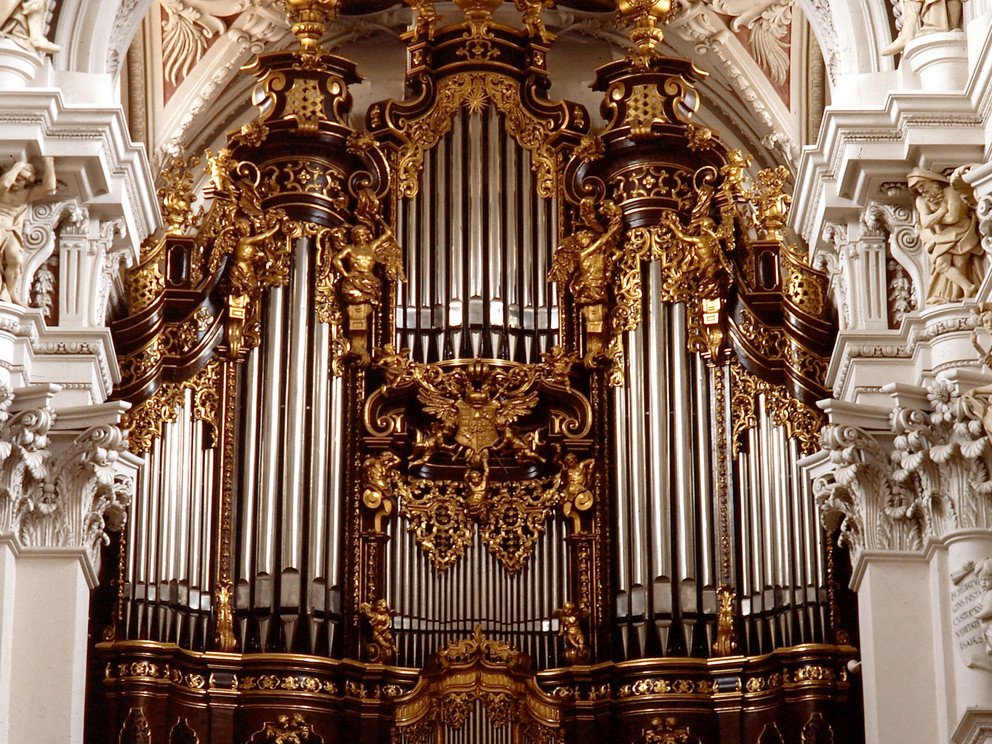 The cathedral organ