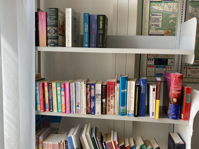 Bücher im offenen Bücherregal einsortiert