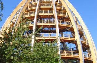 Treetop Path; Source: Tourismusverband Ostbayern e.V., Photo: Touristinfo Neuschönau