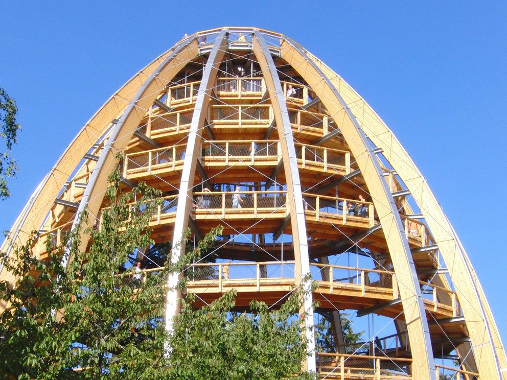 Treetop Path; Source: Tourismusverband Ostbayern e.V., Photo: Touristinfo Neuschönau