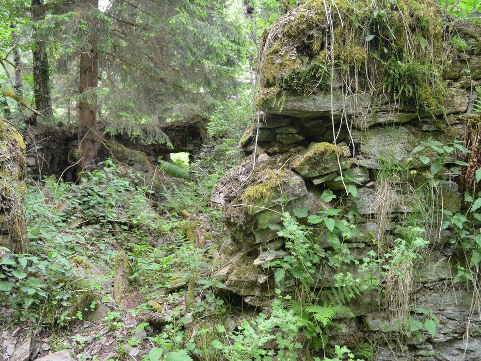 Fotos aus der deutsch-tschechischen Exkursion am 2. Juni 2022