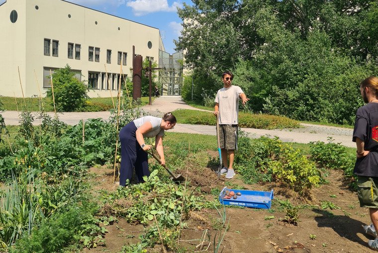 Uni-Garten der Universität Passau mit 3 Personen, die auf dem Acker arbeiten