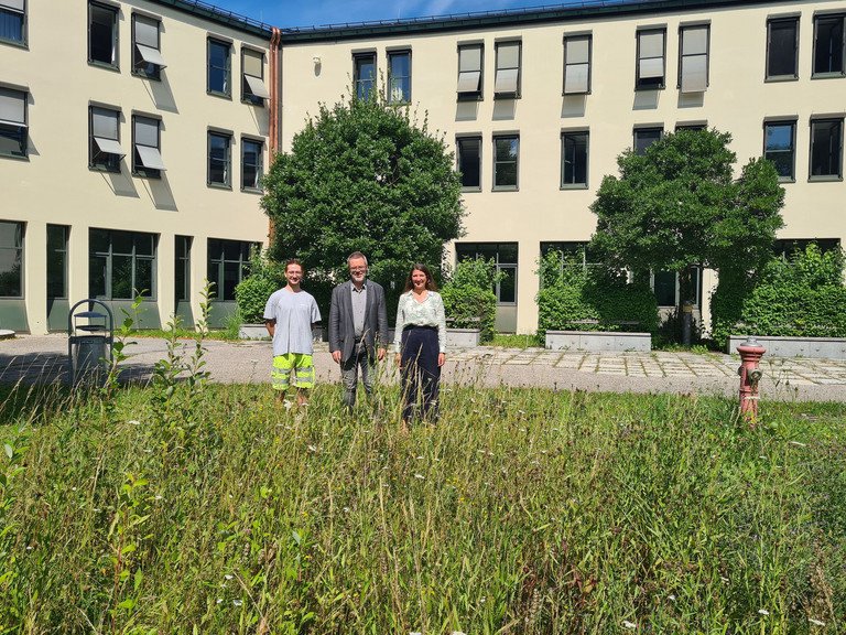 Die Wiese darf wachsen: Prof. Dr. Werner Gamerith, Vizepräsident für Nachhaltigkeit und Transfer (Mitte), Dr. Stefanie Wehner, Leiterin der Stabsstelle Klimaschutz, und Mitarbeiter André Wimhofer (Stabsstelle für Klimaschutz) freuen sich über erste sichtbare Zeichen des Artenvielfaltsprojekts. Foto: Universität Passau