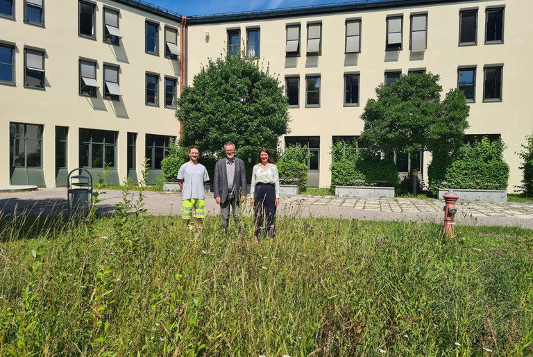 Die Wiese darf wachsen: Prof. Dr. Werner Gamerith, Vizepräsident für Nachhaltigkeit und Transfer (Mitte), Dr. Stefanie Wehner, Leiterin der Stabsstelle Klimaschutz, und Mitarbeiter André Wimhofer (Stabsstelle für Klimaschutz) freuen sich über erste sichtbare Zeichen des Artenvielfaltsprojekts. Foto: Universität Passau