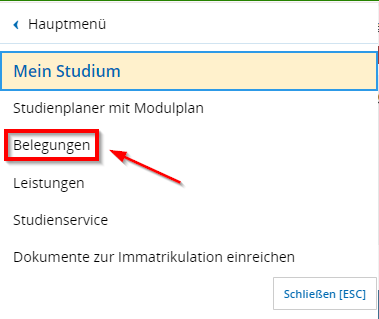 Screenshot Menüpunkt Belegungen