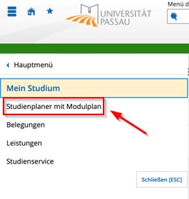 Screenshot Studienplaner mit Modulplan
