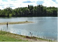 Am Sattlinger Weiher (Landkreis Deggendorf) spielte sich der spektakuläre Rettungseinsatz ab. Ein 74-Jähriger war mit seiner Enkelin (7) schwimmen, als er plötzlich unterging. (Foto: Birgmann)?