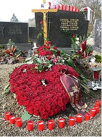 Rote Rosen hatte sich Julia Straub vor ihrem Tod als Grabschmuck gewünscht. Wohldosiert hat sie ihrer Mama gesagt, wie sie sich ihre Beerdigung vorstellt. Die Familie hat alles ganz genau so gemacht. ? Fotos: Straub
