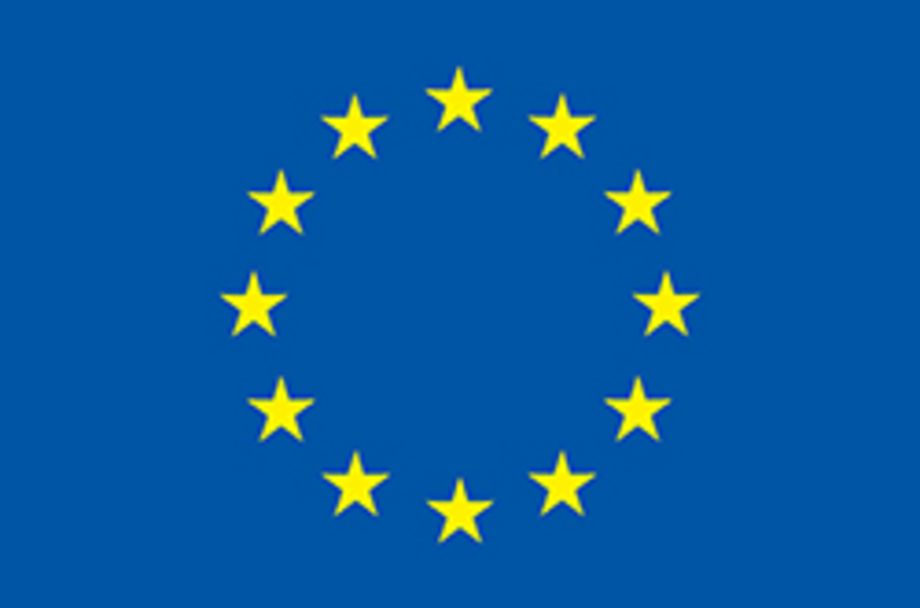 ERC Advanced Grant 'ReConFort' – Europe’s constitution needs communication