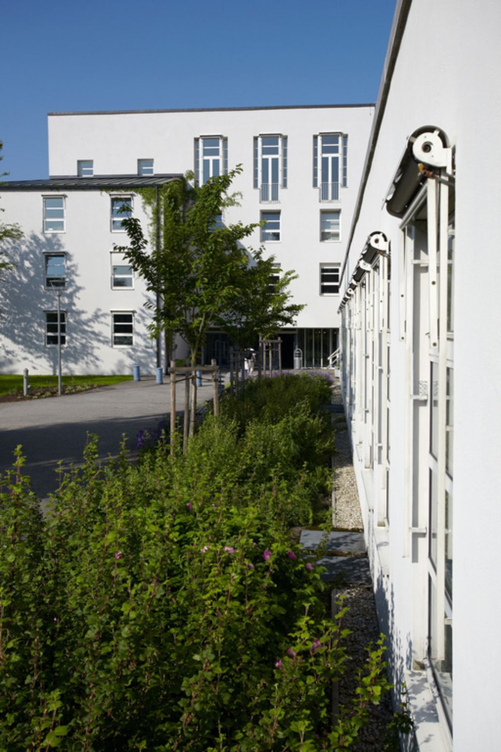 Die Wirtschaftswissenschaftliche Fakultät der Universität Passau